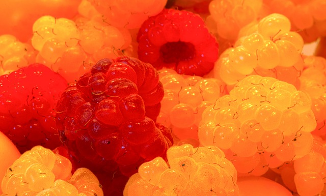 吉林省体育 吉林省体育