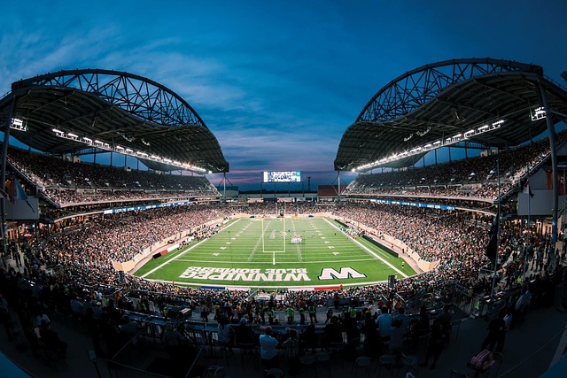 亚足联的“画虎”之路丨不懂球夜话.