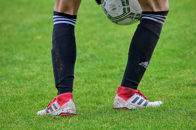 乓球作为 乓球作为