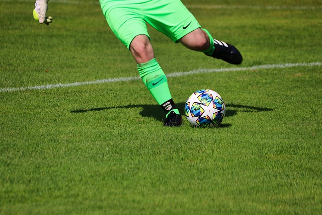 添了色彩 添了色彩