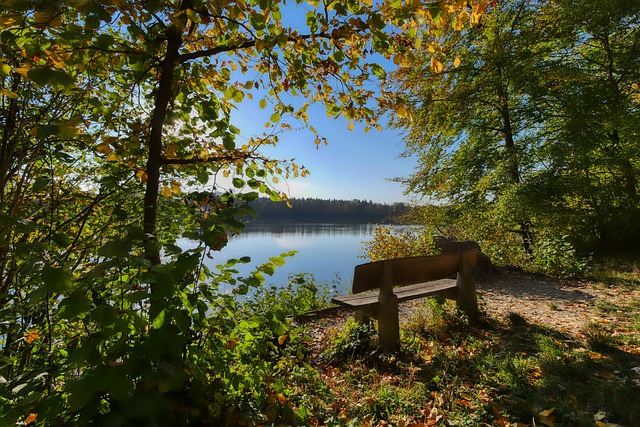 挑戰看似 挑戰看似