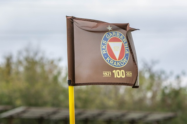 正义回归 正义回归