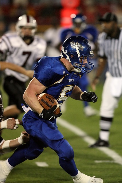 裁判组的构 裁判组的构