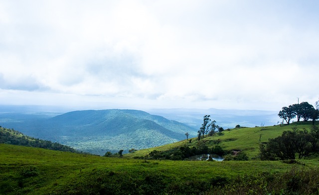 的生活水平 的生活水平