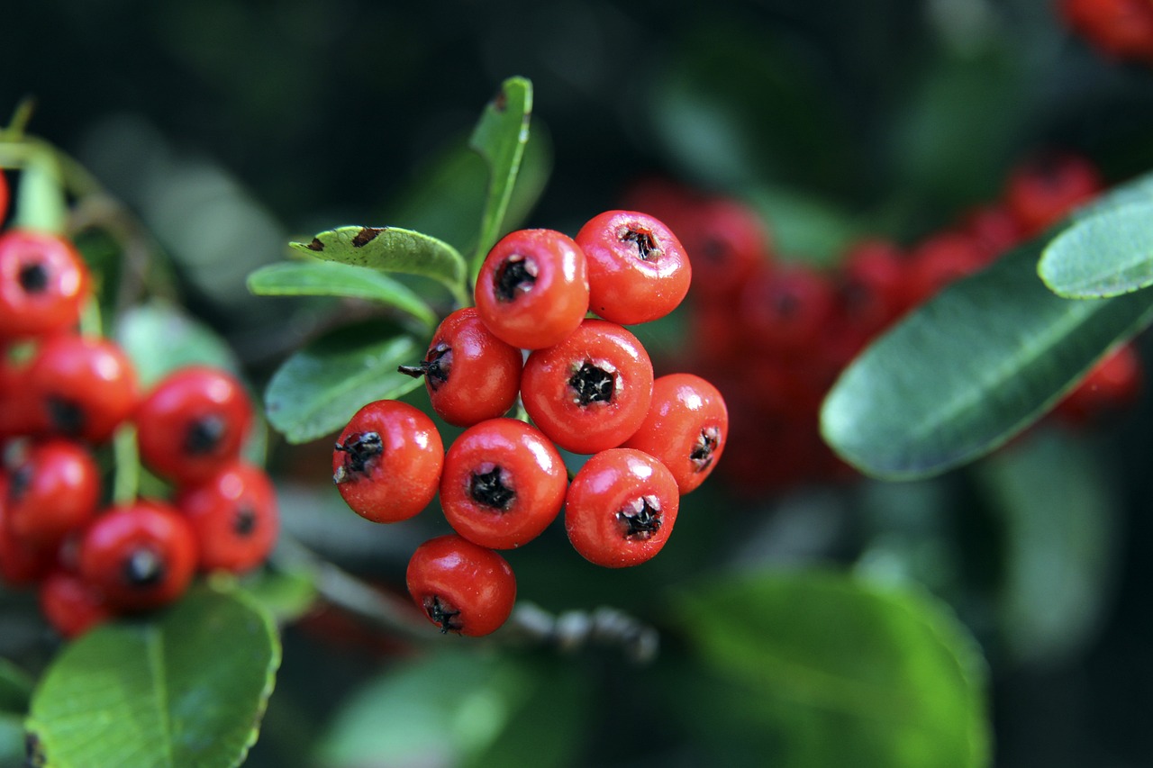 尽管此前他 尽管此前他