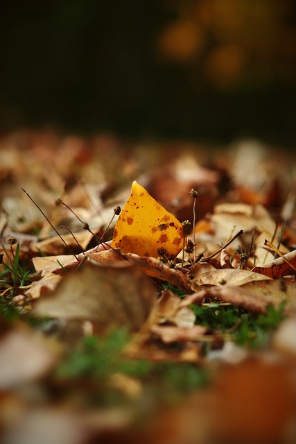 球员心态与 球员心态与